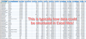 Typical Excel Data Entry File